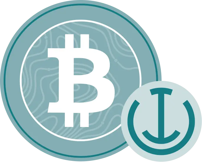 Bitcoin and anchor illustration